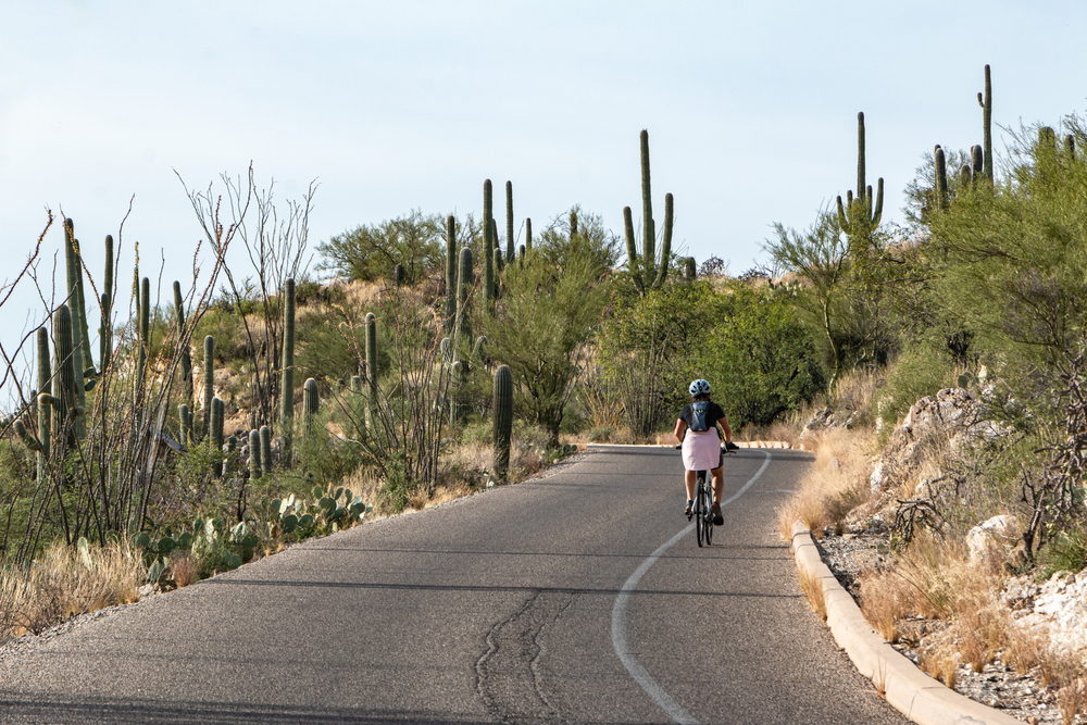 Arizona Bike Law: Rules of the Road for Bicyclists